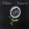 The Districts - A Flourish And A Spoil: Album-Cover