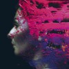 Steven Wilson - Hand. Cannot. Erase.