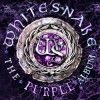 Whitesnake - The Purple Album