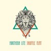 Northern Lite - Shuffle Play: Album-Cover