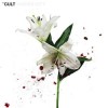 The Cult - Hidden City: Album-Cover