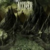 Accu§er - The Forlorn Divide