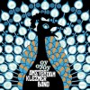 Amsterdam Klezmer Band - Oyoyoy: Album-Cover