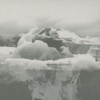 If These Trees Could Talk - The Bones Of A Dying World: Album-Cover