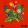 Jamie Lidell - Building A Beginning: Album-Cover