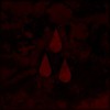 AFI - AFI (The Blood Album): Album-Cover