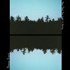Maggie Rogers - Now That The Light Is Fading: Album-Cover