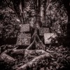 Kamasi Washington - Harmony Of Difference: Album-Cover