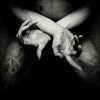 Shining (S) - X - Varg Utan Flock: Album-Cover