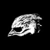 Legend Of The Seagullmen - Legend Of The Seagullmen: Album-Cover