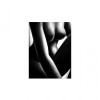 Her - Her: Album-Cover