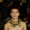 Years & Years - Palo Santo: Album-Cover