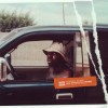 Serious Klein - You Should've Known: Album-Cover