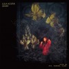 Julia Holter - Aviary: Album-Cover