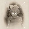 Current 93 - The Light Is Leaving Us All: Album-Cover