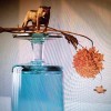 Beirut - Gallipoli: Album-Cover