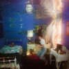 Weyes Blood - Titanic Rising: Album-Cover