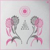 Death And Vanilla - Are You A Dreamer?: Album-Cover
