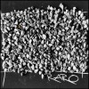 Harry Quintana - Raro: Album-Cover