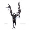 Tetema - Necroscape: Album-Cover