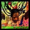 Buju Banton - Upside Down: Album-Cover
