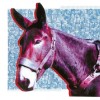 Protomartyr - Ultimate Success Today: Album-Cover
