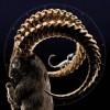 Nimo - Steinbock: Album-Cover