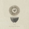 DVS1 - Beta Sensory Motor Rhythm: Album-Cover