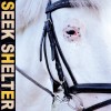 Iceage - Seek Shelter: Album-Cover