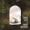 Johnny Flynn & Robert Macfarlane - Lost In The Cedar Wood: Album-Cover