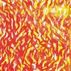 The Bug - Fire: Album-Cover