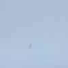 Skee Mask - Compro: Album-Cover