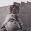 Aldous Harding - Warm Chris: Album-Cover