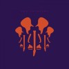 Joe Satriani - The Elephants Of Mars: Album-Cover
