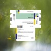 Spiritualized - Everything Was Beautiful: Album-Cover
