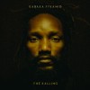 Kabaka Pyramid - The Kalling: Album-Cover