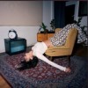 Wa22ermann - 7:30: Album-Cover