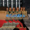 Feist - Multitudes: Album-Cover