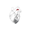 Swans - The Beggar: Album-Cover