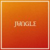 Jungle - Volcano: Album-Cover