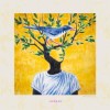 Maxim - Nachtigall: Album-Cover