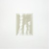 Fat White Family - Forgiveness Is Yours: Album-Cover