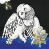 Songs: Ohia - The Magnolia Electric Co.: Album-Cover