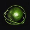 Big Thief - Double Infinity: Album-Cover