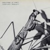 Courtney Barnett - Creature of Habit: Album-Cover