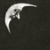 Crippled Black Phoenix - Sceaduhelm: Album-Cover