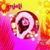 Anjali - The World Of Lady A: Album-Cover