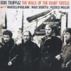Erik Truffaz - The Walk Of The Giant Turtle
