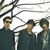 The Horrors: "Die Songs sollen nerven!"