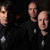 Amplifier: "Jeder geht zum Bankomaten. Auch die Queen"